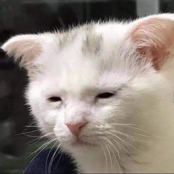 Meet your Posher, Chad - Picture 1 of 1